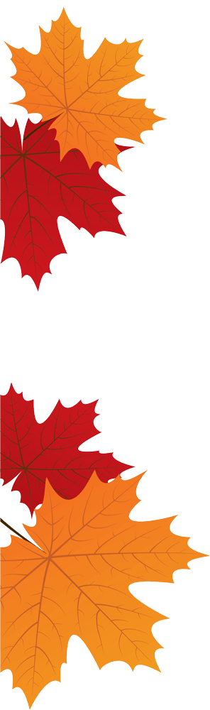 Muskoka Pure Maple Syrup Muskoka Pure Maple Syrup