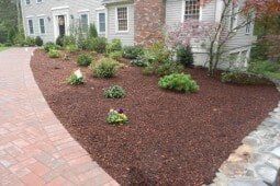 Shrub Design - Lawn Care in Sudbury, MA Shrub Design - Lawn Care in Sudbury, MA