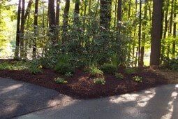 Mulching - Lawn Care in Sudbury, MA Mulching - Lawn Care in Sudbury, MA