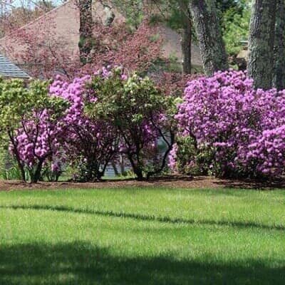 Shrub Installations - Lawn Care in Sudbury, MA