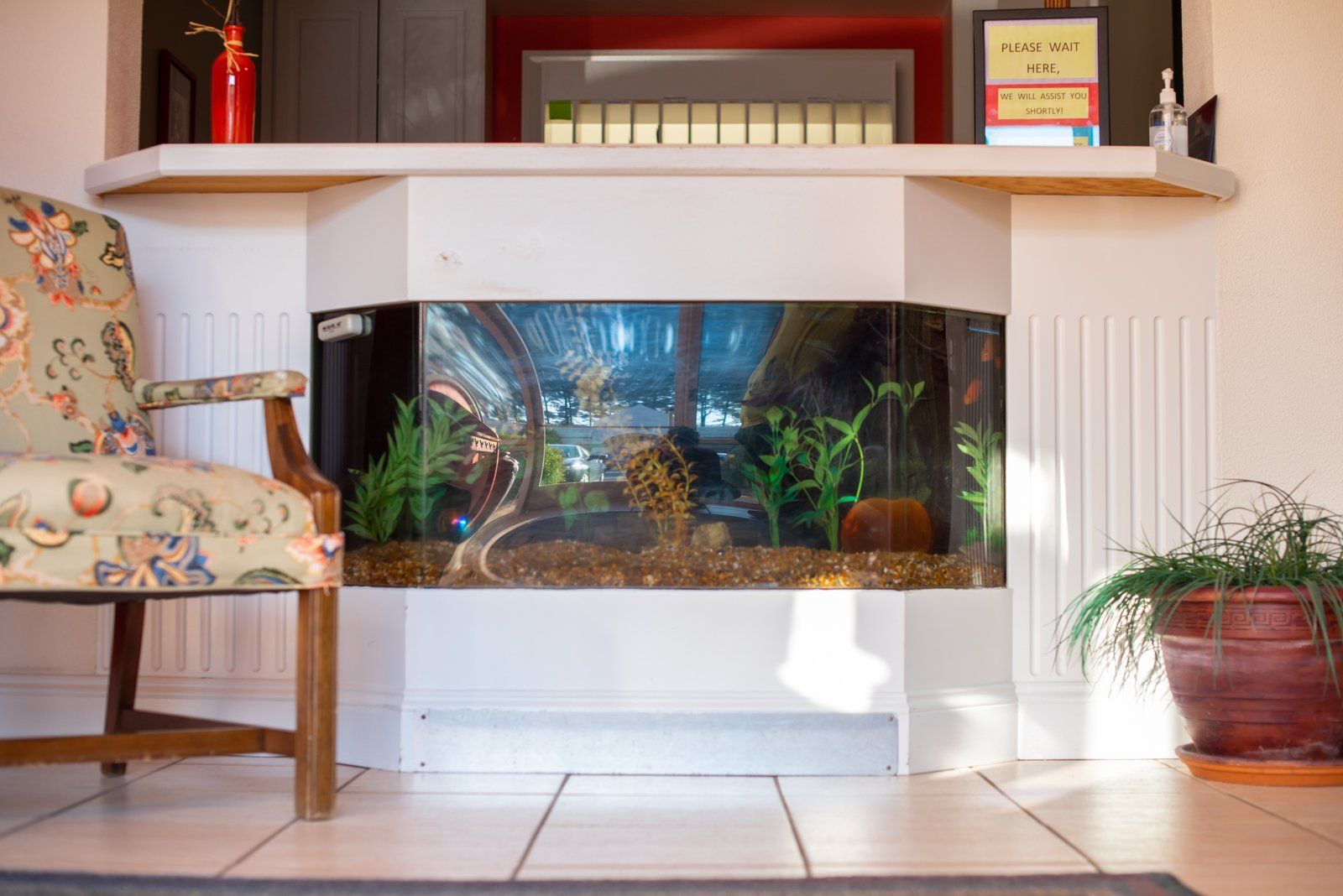 Aquarium built into wall, with a chair and potted plant.