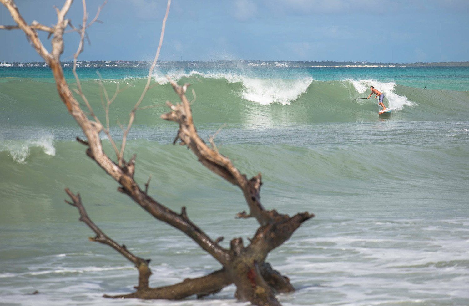 A person is riding a wave on a surfboard in the ocean.