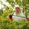 fertilizzanti naturali e biologici, concimi, piante fertilizzanti naturali e biologici, concimi, piante