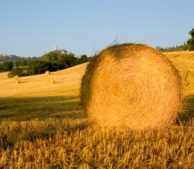 concimi e fertilizzanti, fieno, , grano, balle di fieno, paesaggio concimi e fertilizzanti, fieno, , grano, balle di fieno, paesaggio