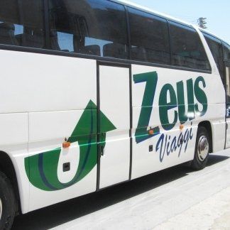 pullman con logo zeus viaggi