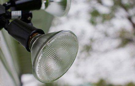 LED lighting for property security