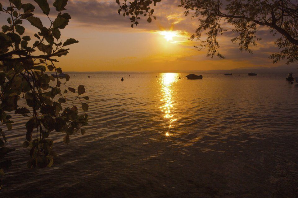 Lago