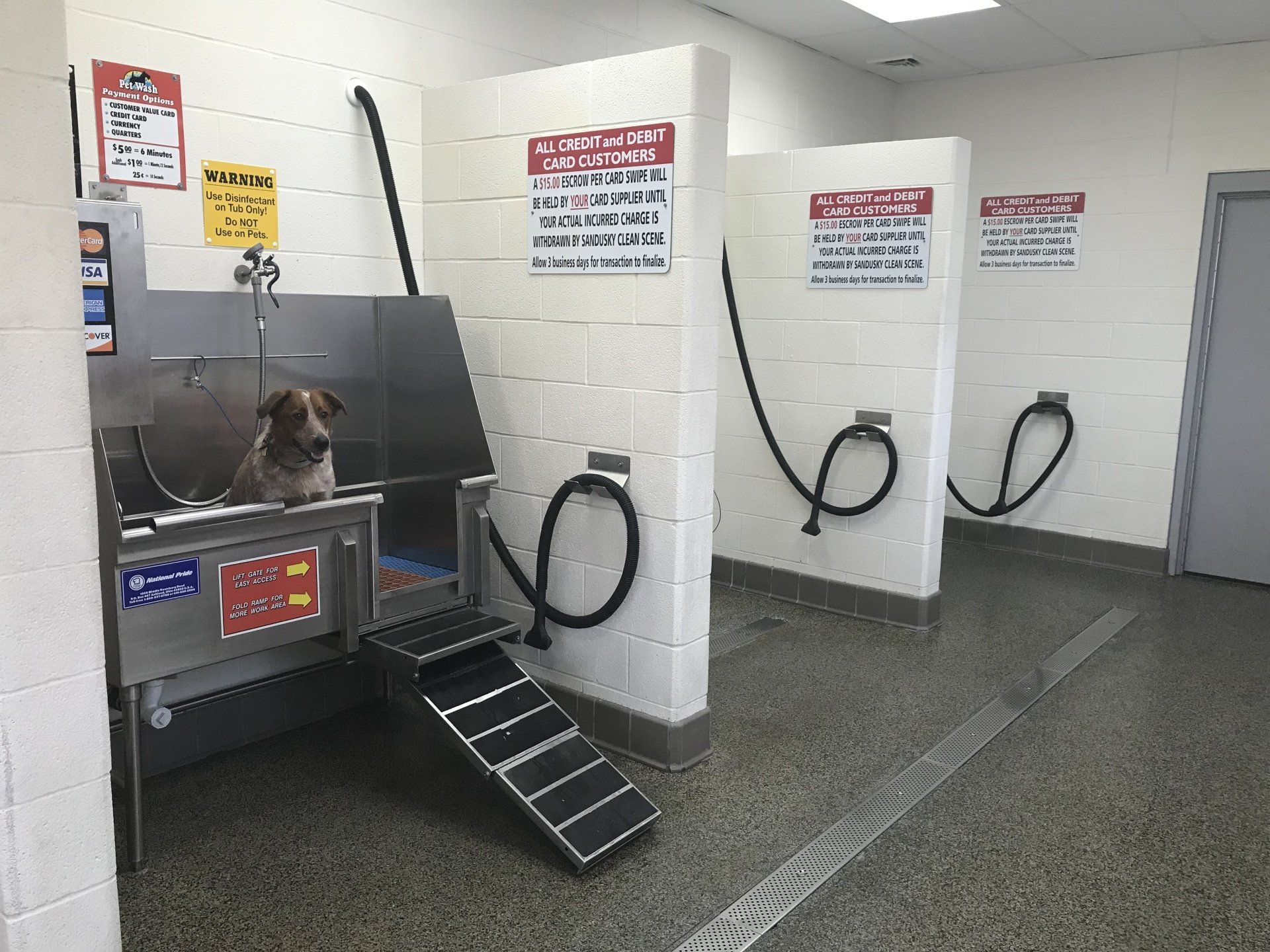 Woman Bathing a Dog  — Pet Wash in Sandusky, OH
