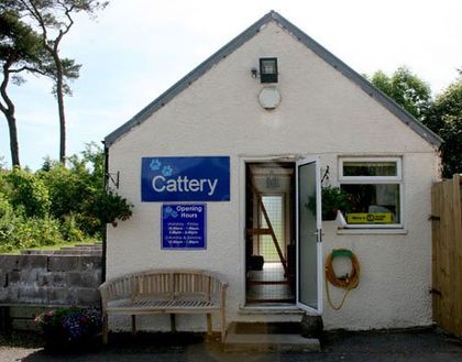 cattery