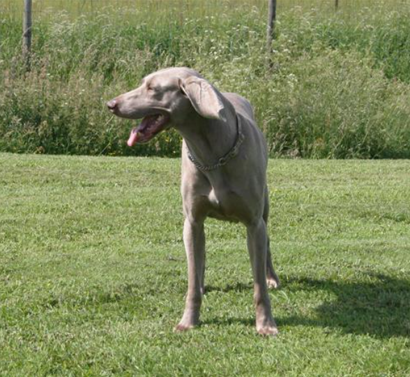 image 29