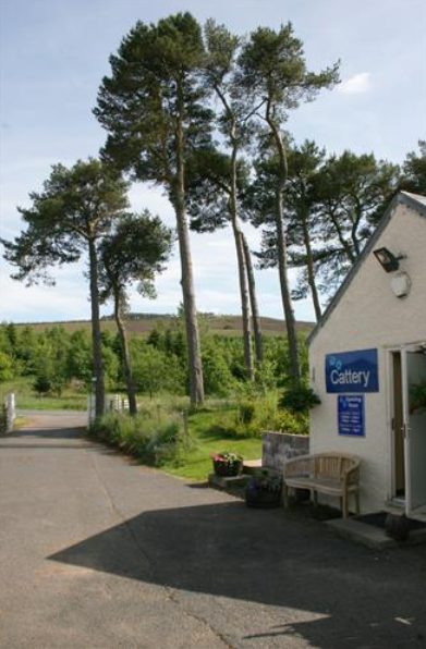 image 32