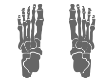 icon orthotic therapy