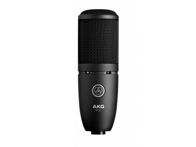 2 x Presenter Mics
