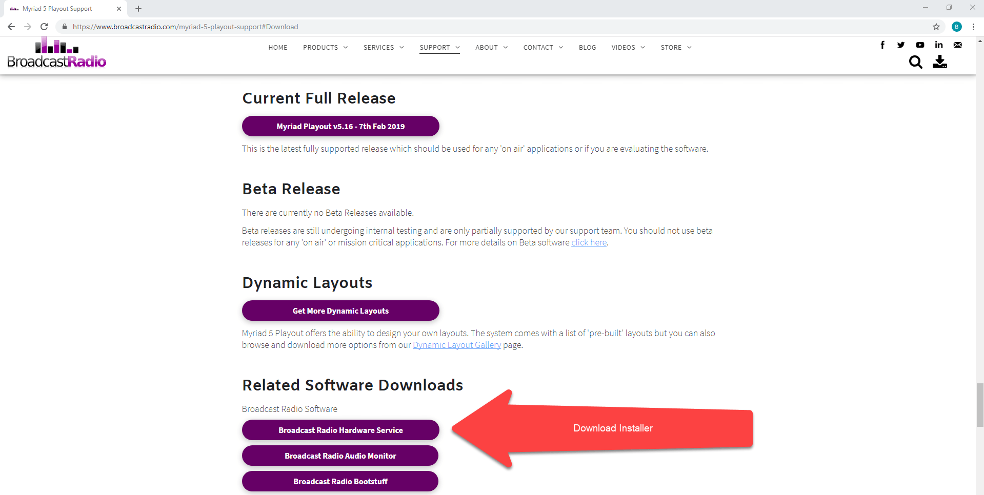 A screenshot of a website with a red arrow pointing to the download button.