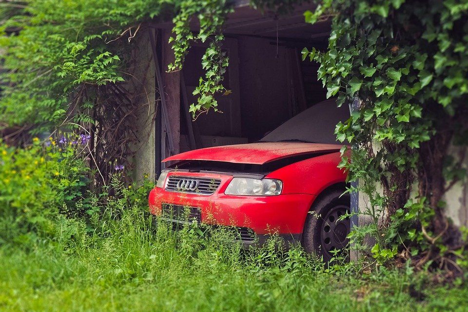 A red car is parked in a garage surrounded by trees.