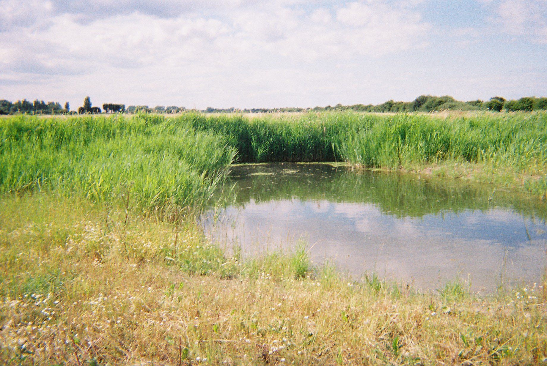 geo-environmental consultants 