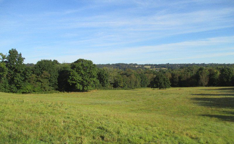 site surveys 