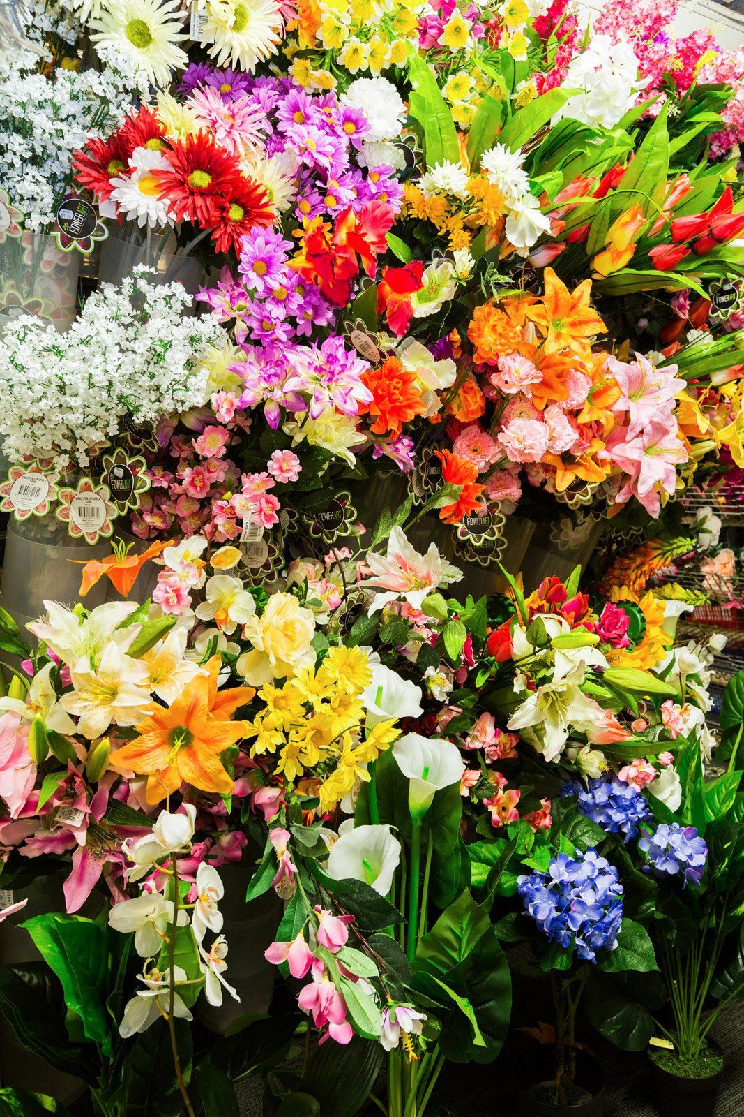 flowers