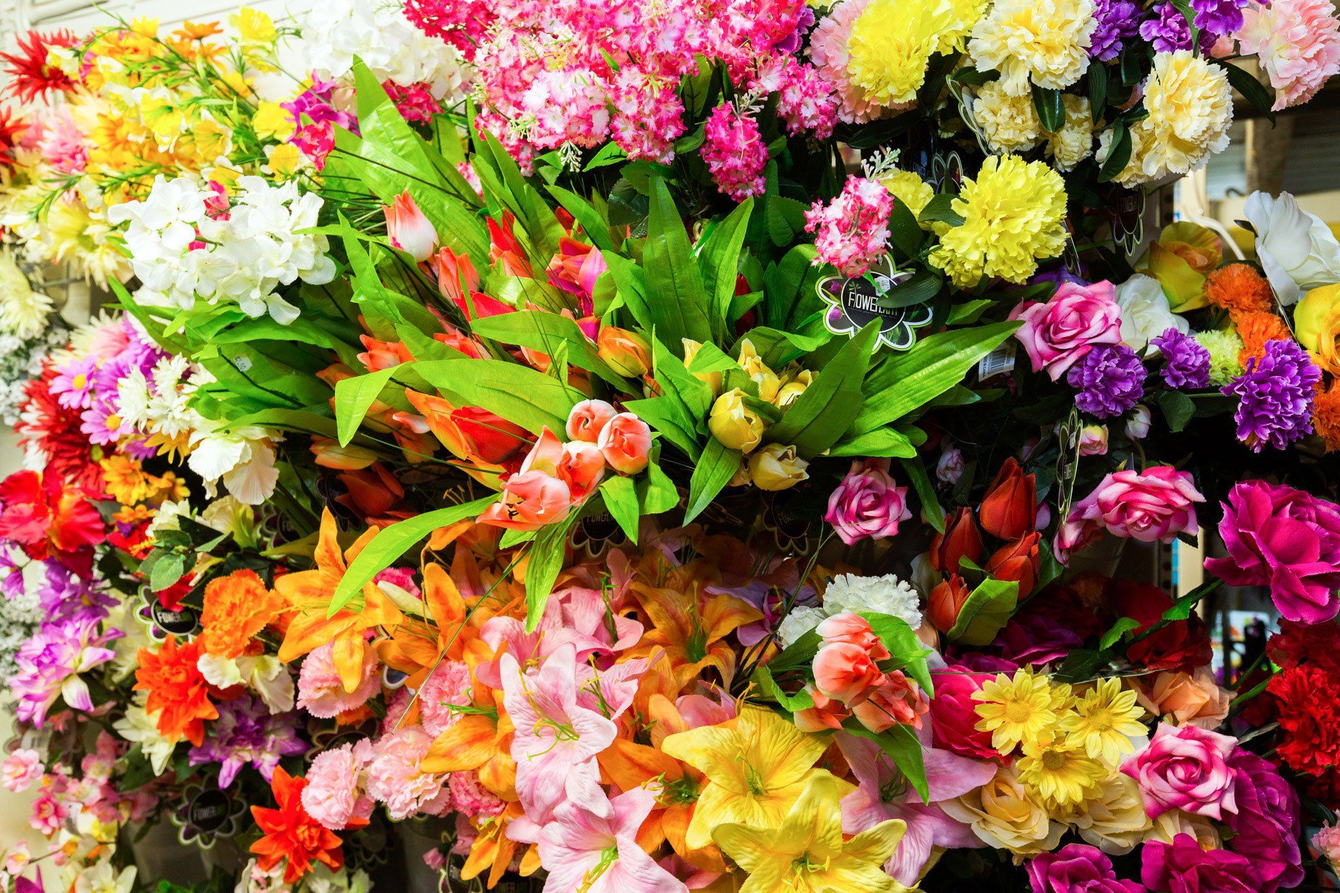 flowers