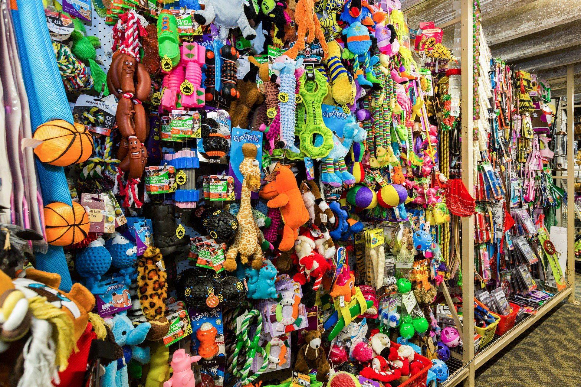 pet toys