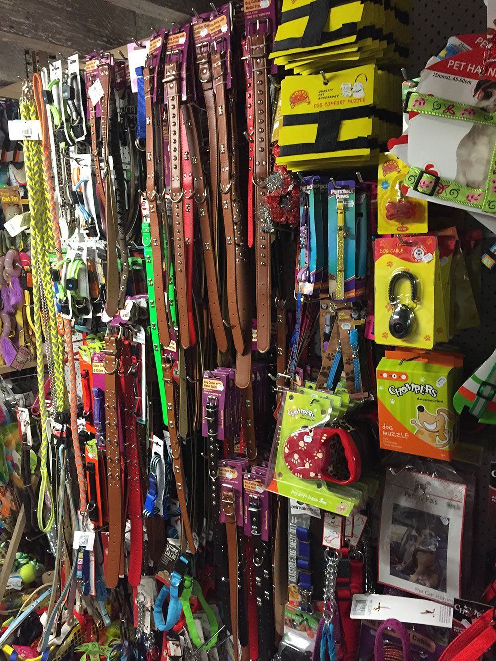 pet accessories