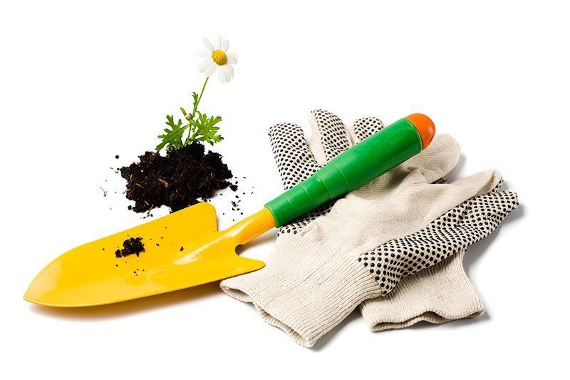 garden equipments