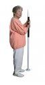 Assist Pole — Tacoma, WA — Wheelchair Haven