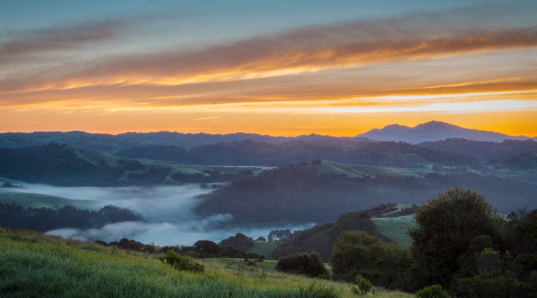 Mt Diablo