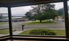 A large window with a view of a street and trees.