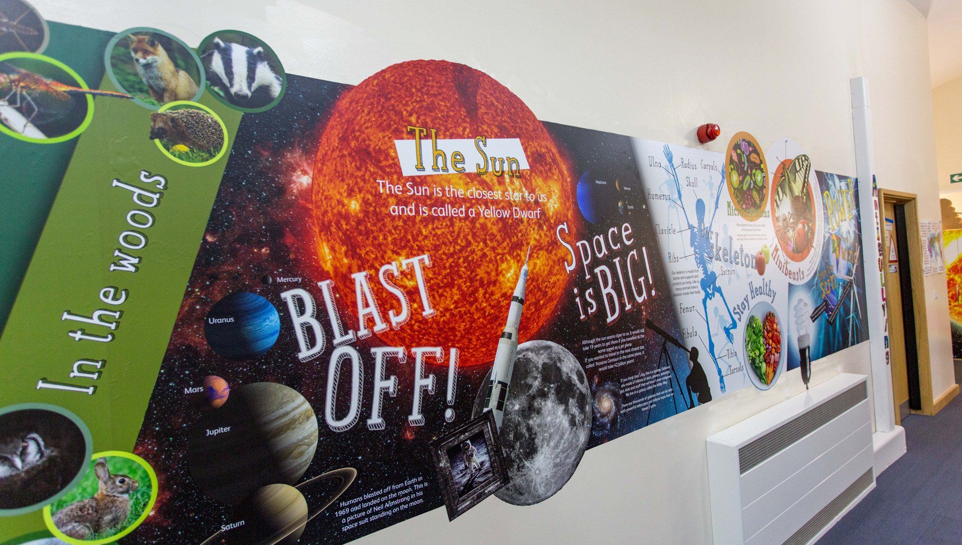 science feature wall