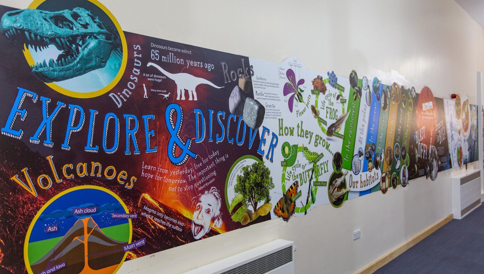 primary school science feature wall