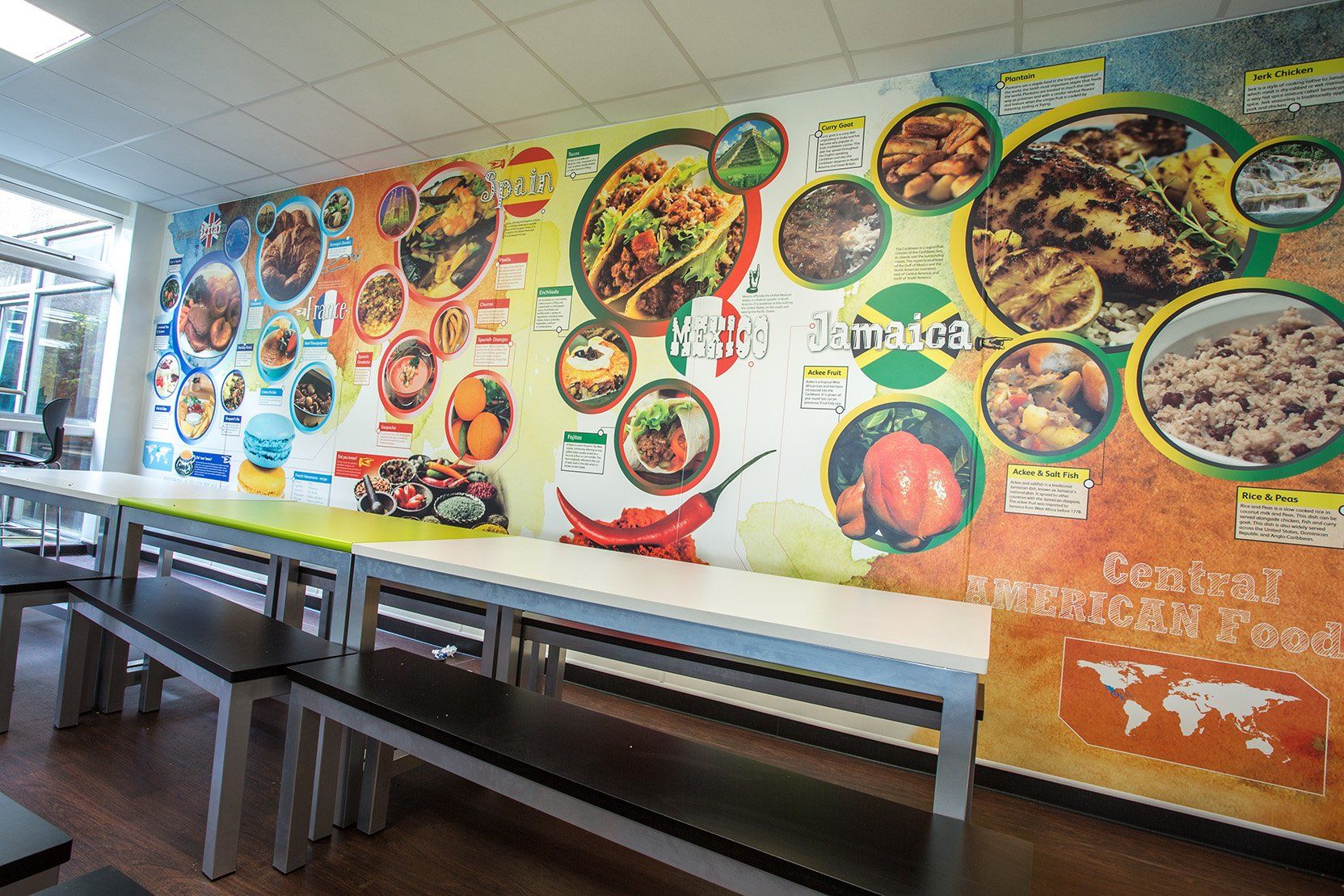 foods of the world wall display