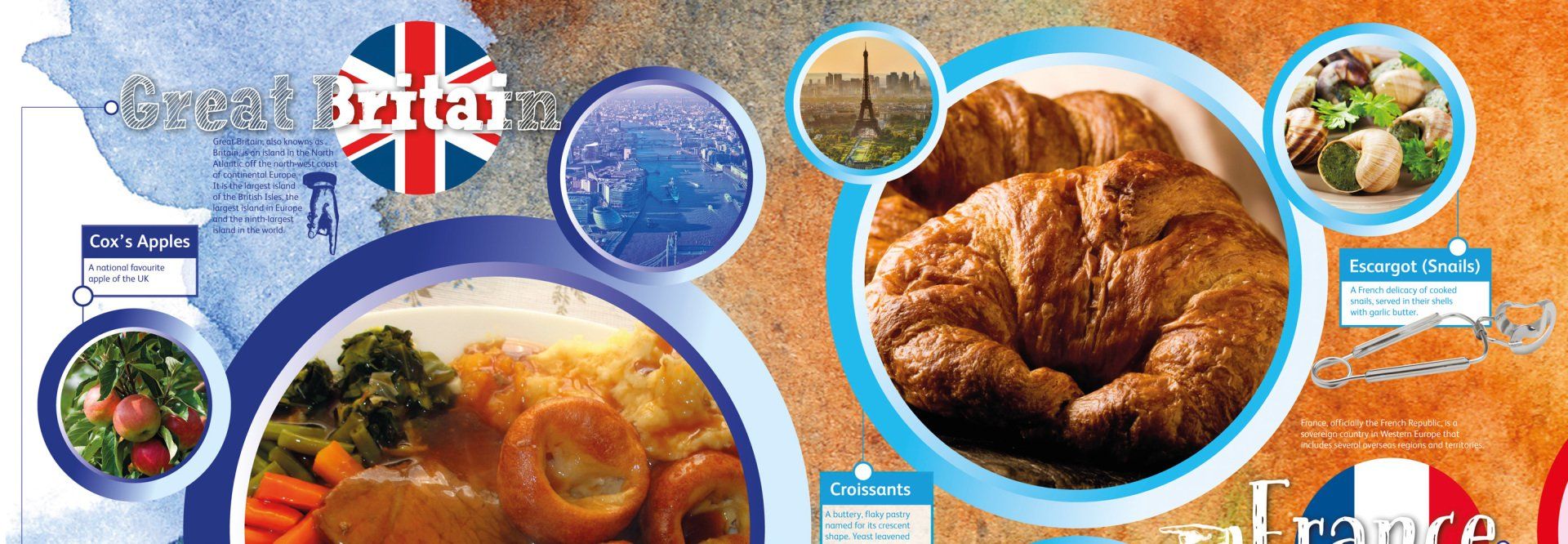 foods of the world feature wall
