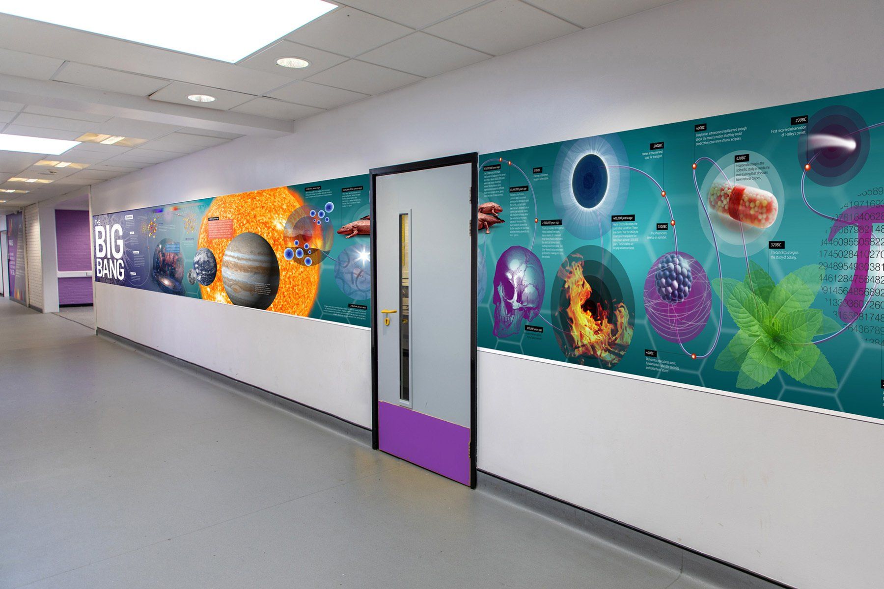 science school display timeline