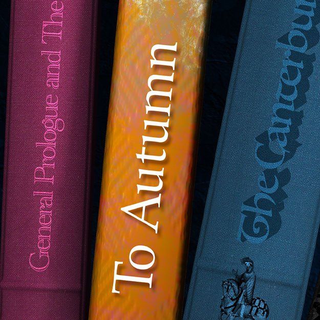 English school mural design book spines bookshelf