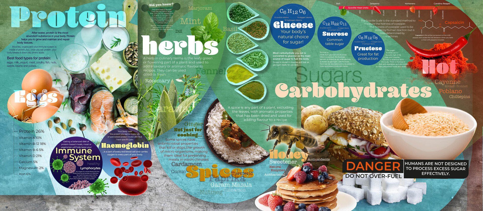 food tech mural display for schools by fusional.co.uk