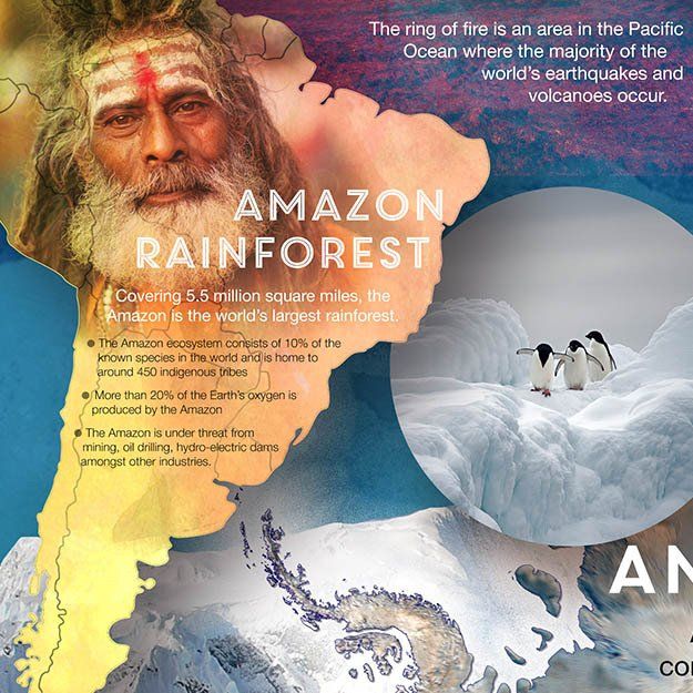 geography school wall mural sample showing Amazon Rainforest