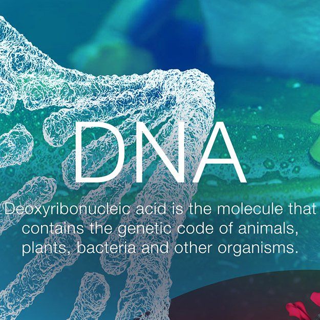 biology wall mural design for schools, DNA
