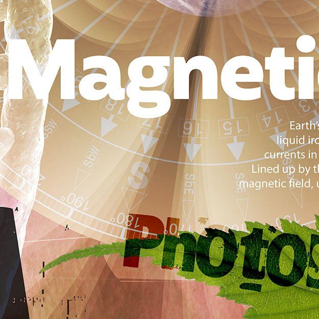 school mural art physics magnetic earth