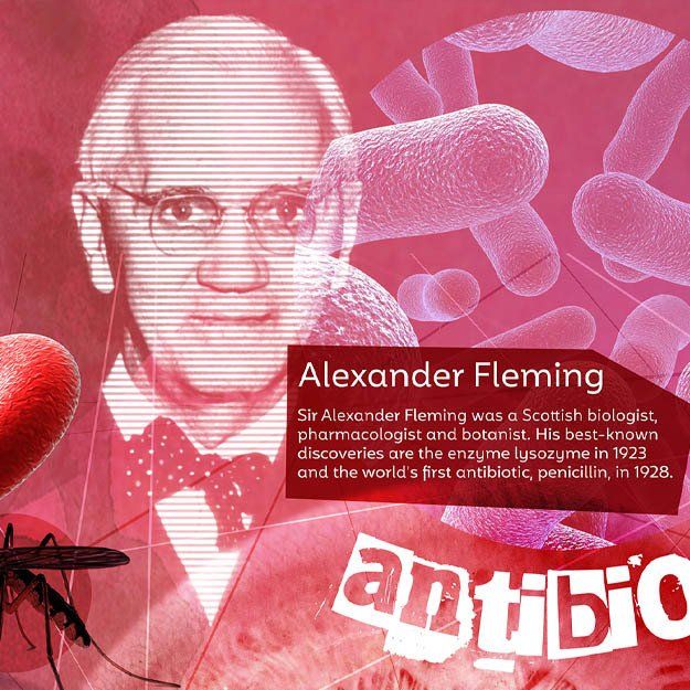 school wall mural art science Alexander Fleming and antibiotics