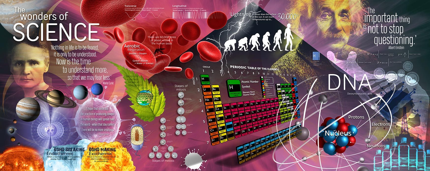 science wallpaper mural, Marie curie, DNA, Albert Einstein, periodic table, mural designs