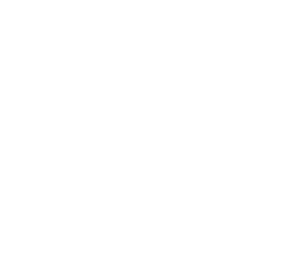 Domestic Services domestic building