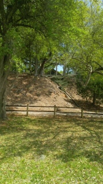 Tree Service in Fairhope, AL