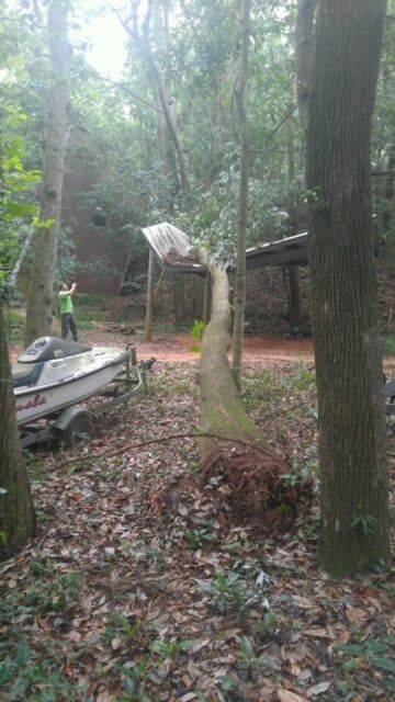 Tree Service in Fairhope, AL