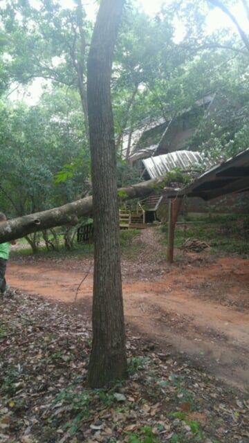 Tree Service in Fairhope, AL