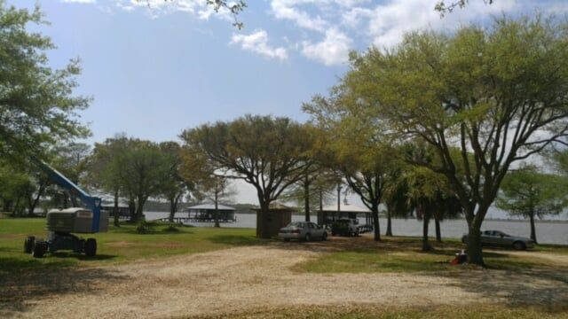 Tree Service in Fairhope, AL
