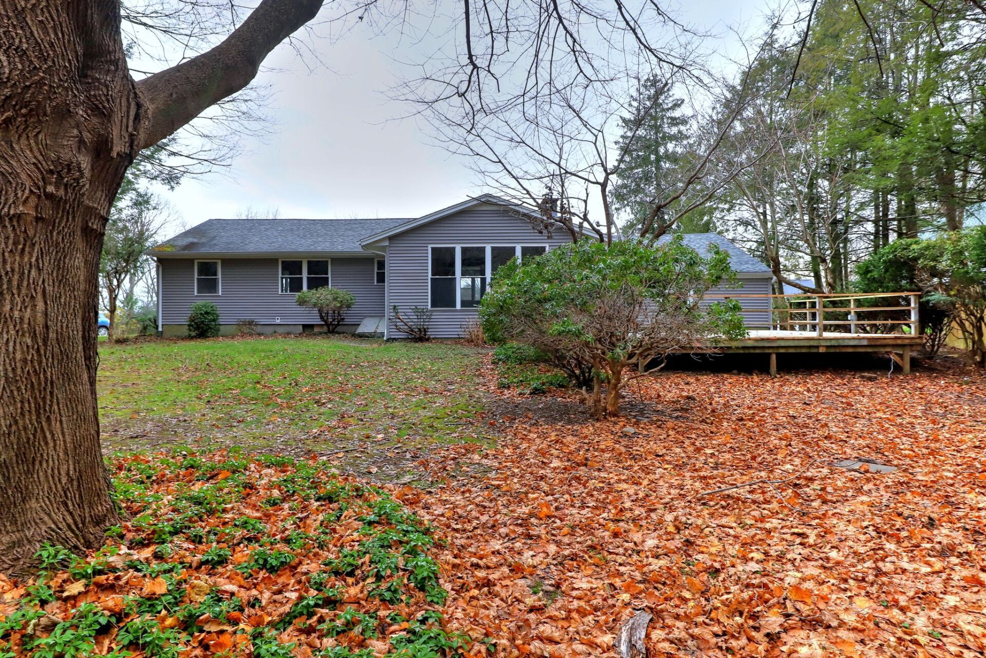 House with gray siding and a deck, surrounded by autumn leaves and trees.