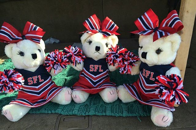 team uniform cheer bear