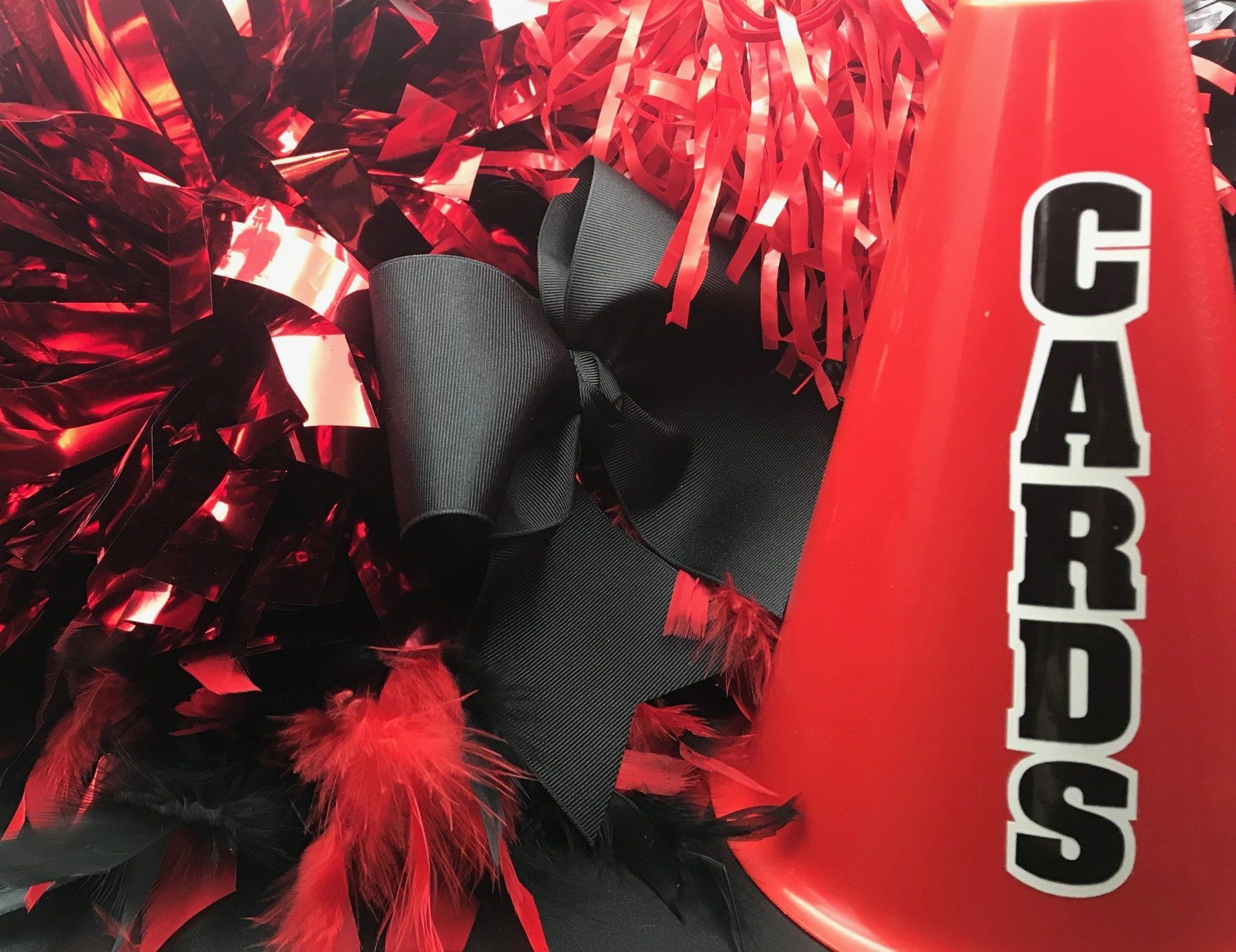 poms, bow, megaphone