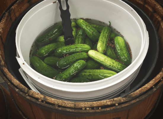 New York Pickle 4